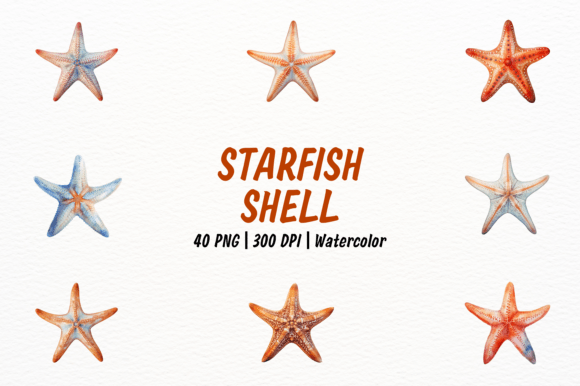 Bring the Coast to Your Canvas with Realistic Starfish and Shell Clipart