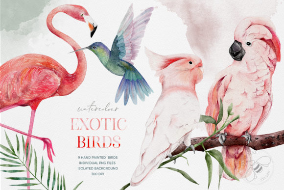 Bringing the Tropics to Life with Watercolor Exotic Birds