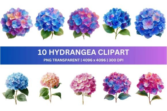 Transforming Projects with Watercolor Hydrangea Clipart