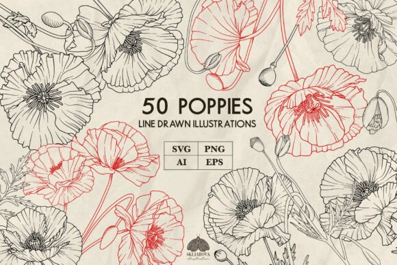 Unlocking Botanical Elegance: The Poppies Line Art Collection