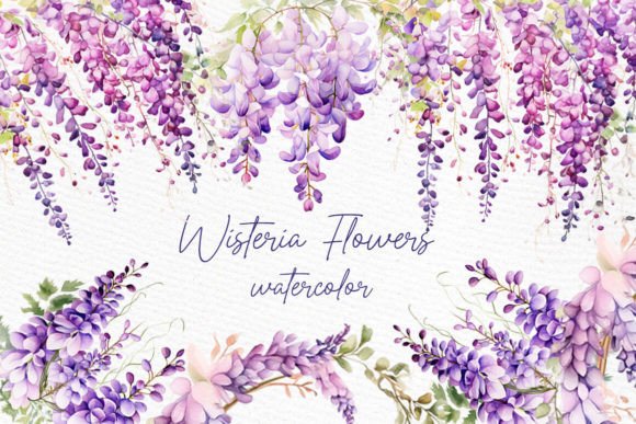Watercolor Wisteria Clipart: Elevating Your Creative Projects